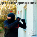 additional image