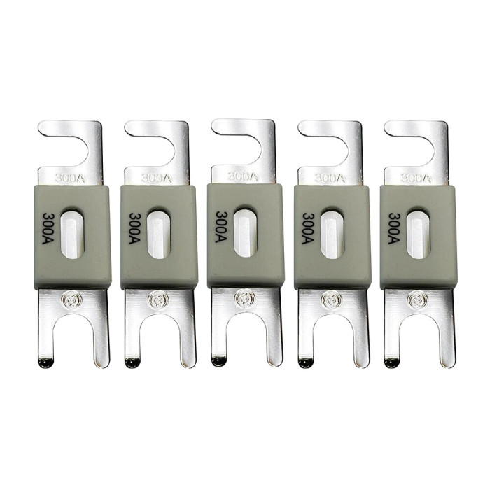 Запобіжник Victron Energy ANL-fuse 300A/80V (5 pc)
