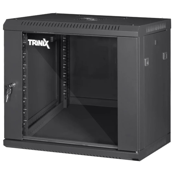 Комутаційна шафа Trinix TRX-9U/600x450x503 Black